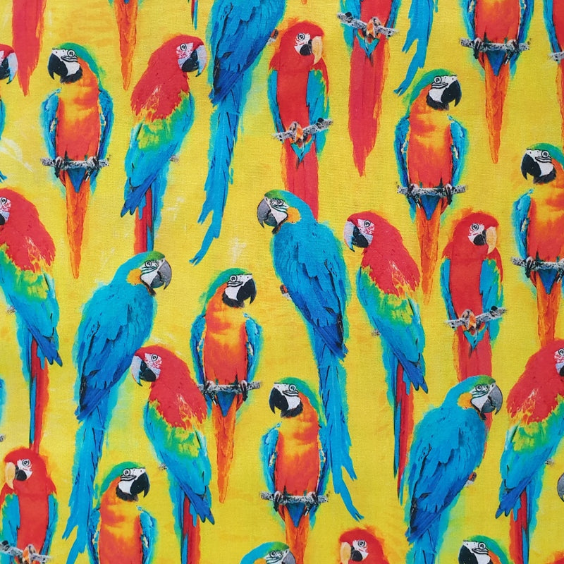 Macaws on Yellow